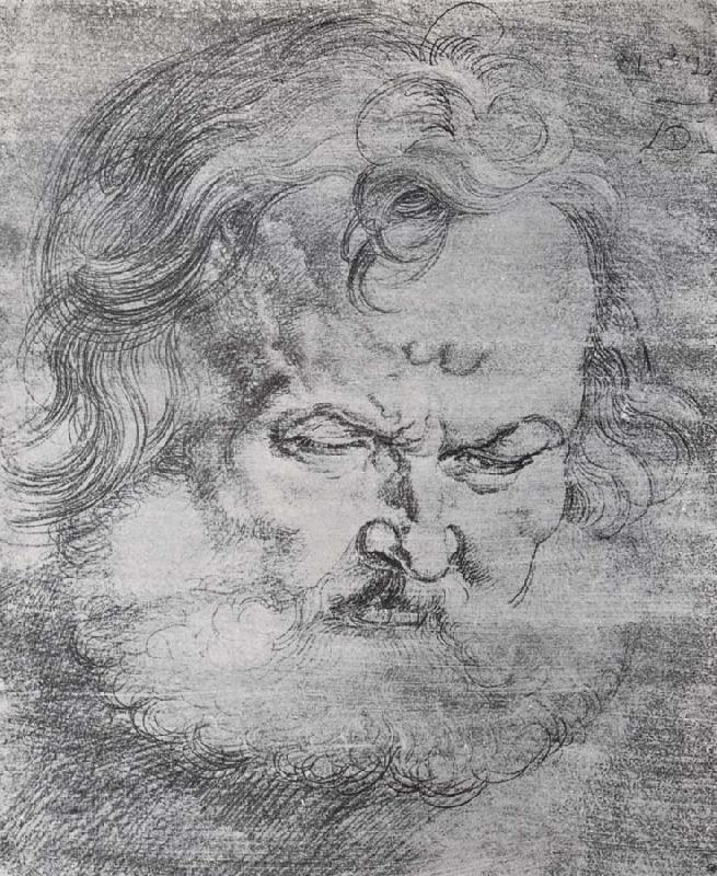 Albrecht Durer Head of St.Peter oil painting picture